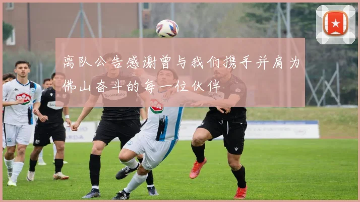 离队公告感谢曾与我们携手并肩为佛山奋斗的每一位伙伴