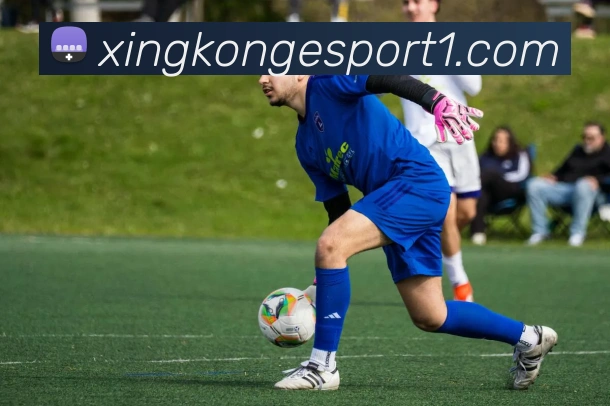 App Interface Preview