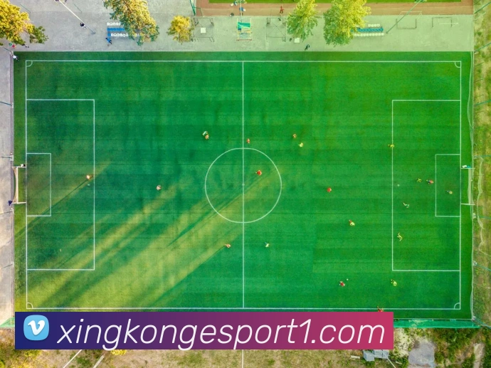 星空电竞APP 封面图